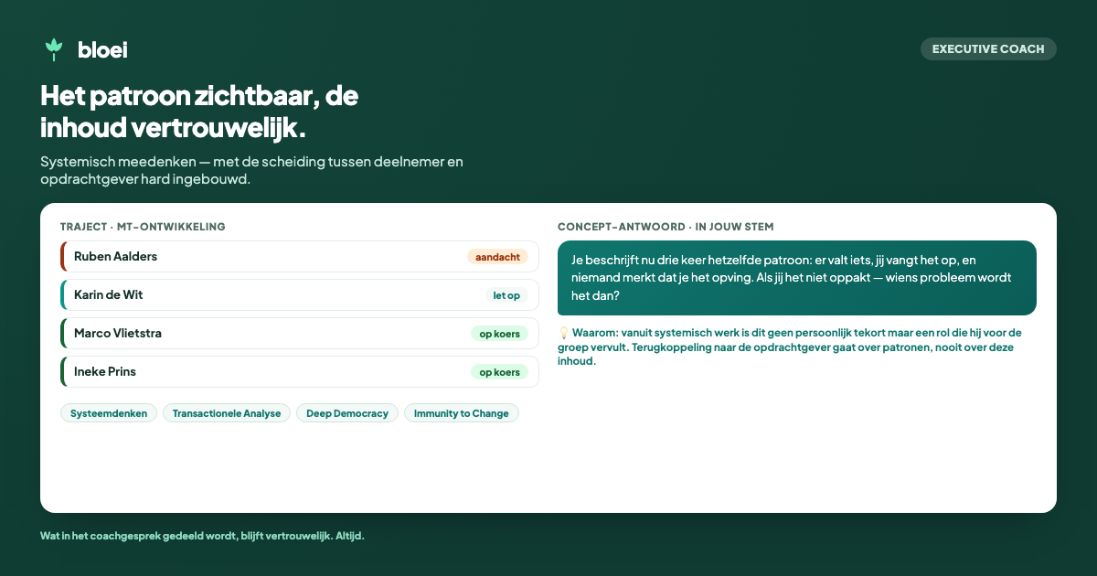 Bloei in de executive-stand: een deelnemersoverzicht met systemische methodieken en een concept-antwoord dat een patroon terugleg.